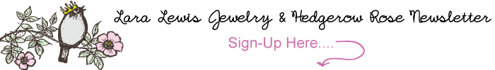 Lara-Lewis-Newsletter-Sign-Up-Banner
