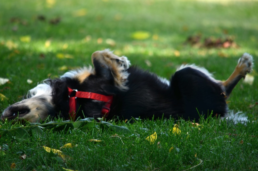 Eva enjoying the sunshine