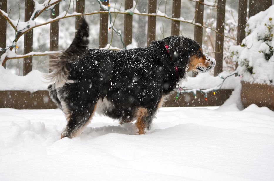 Eva loves the snow!