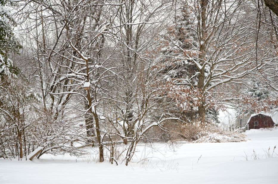 Pennsylvania snow