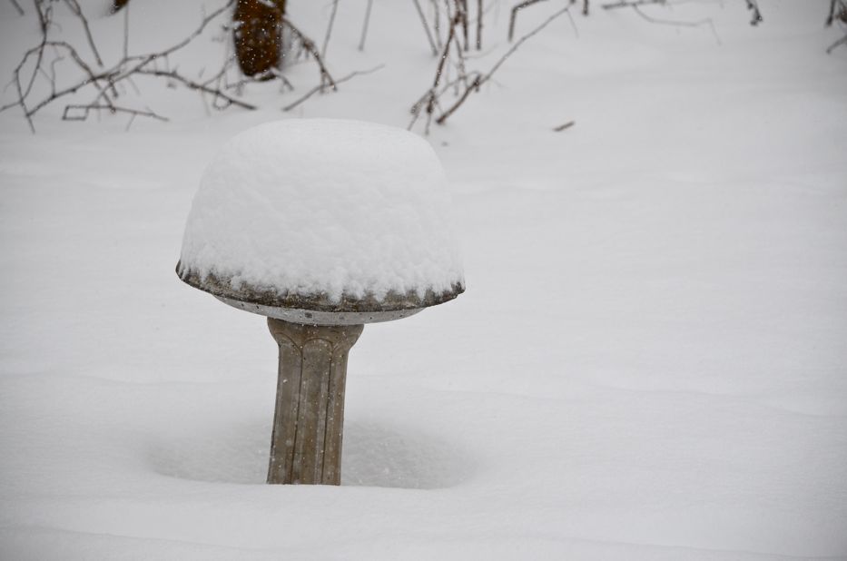 snow covered birdbath