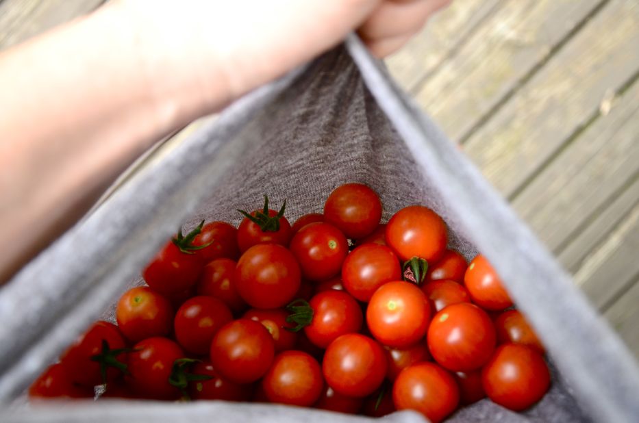 Sweet 100 Tomatoes