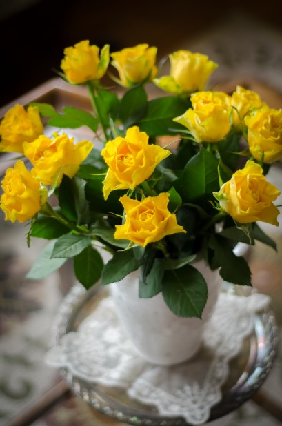 Yellow Roses 2 | Hedgerow Rose