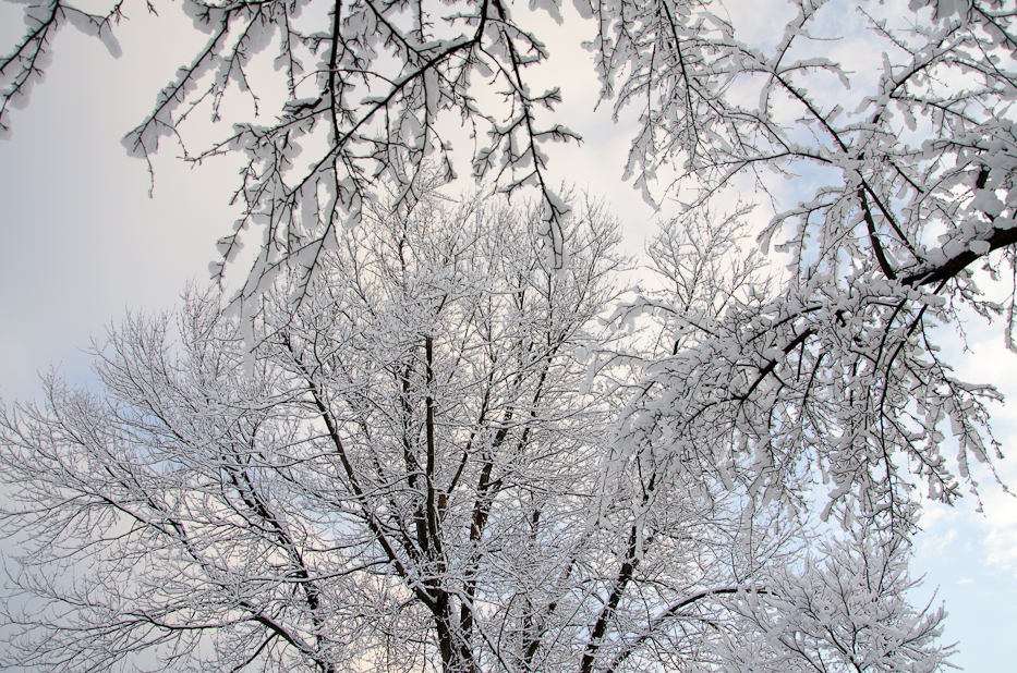 Valentines Day Snowfall 2