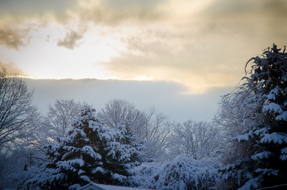 Valentines Day Snowfall 5