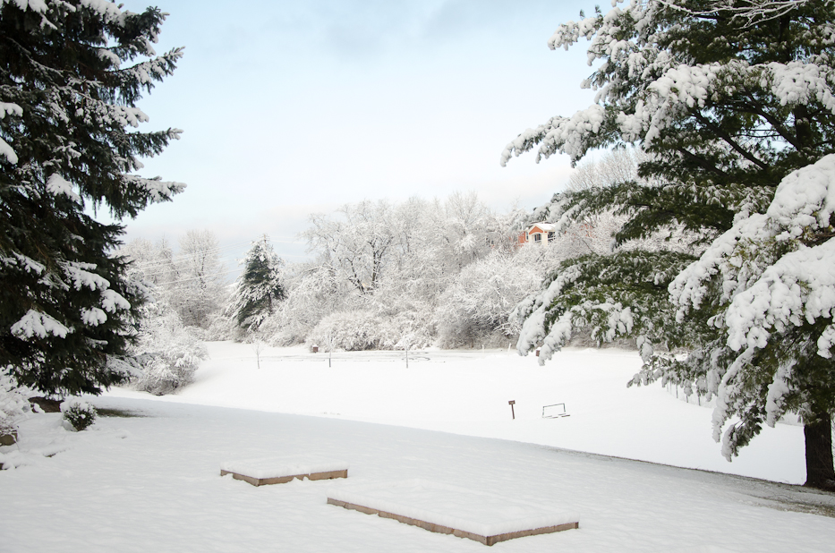 Valentines Day Snowfall 6