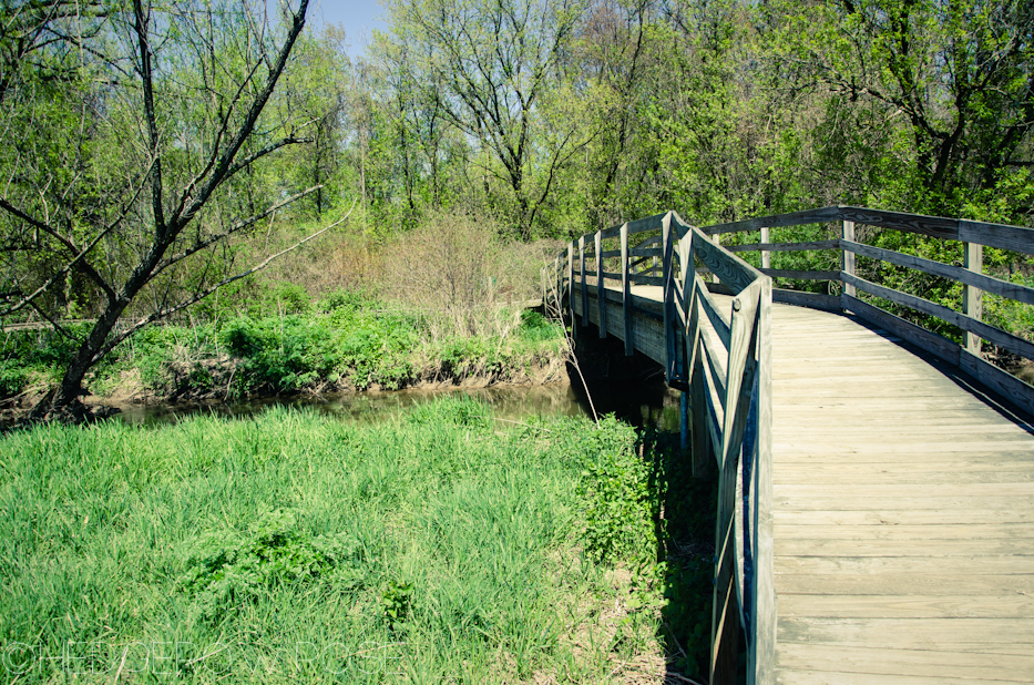 Millbrook Marsh 11