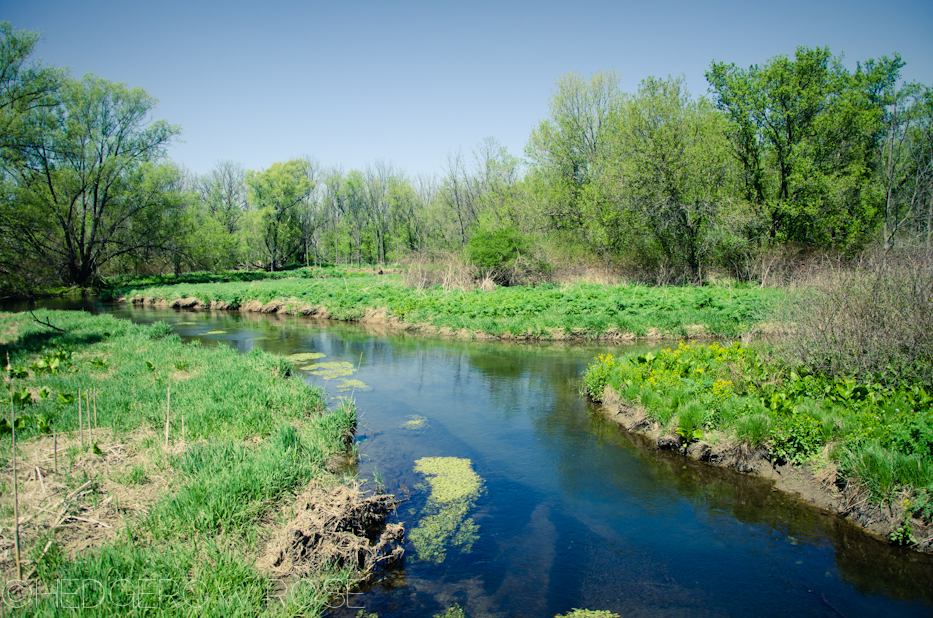 Millbrook Marsh in the Spring