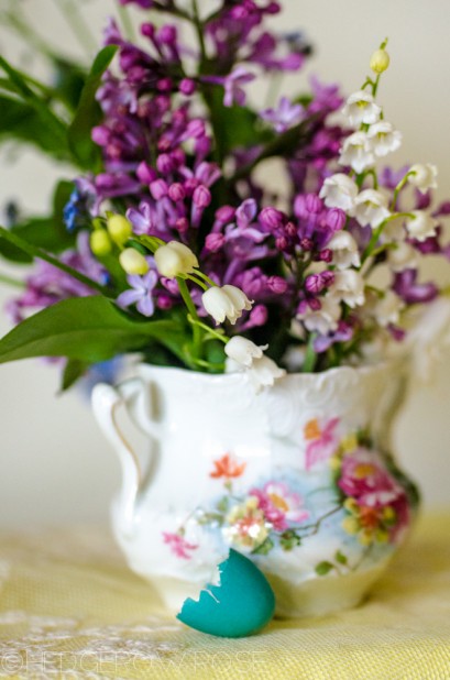 spring flowers and robin egg