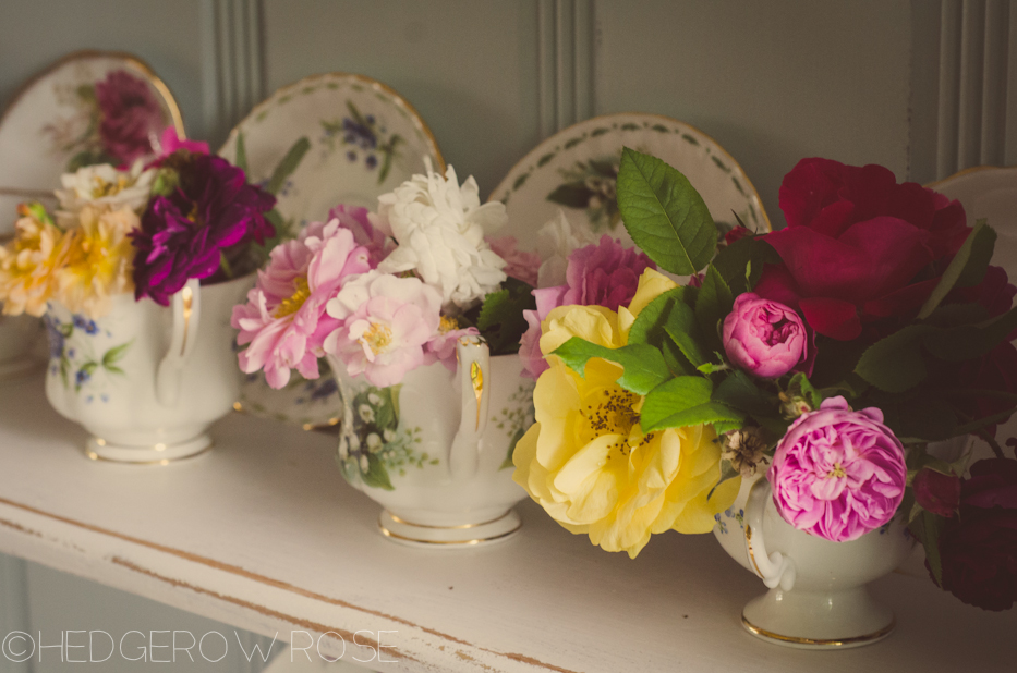 roses in teacups 2 | Hedgerow Rose