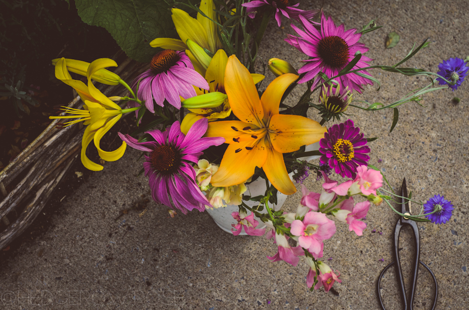 collecting flowers in summer