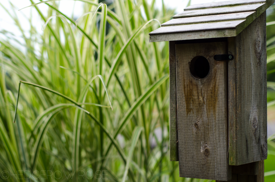 bluebird house