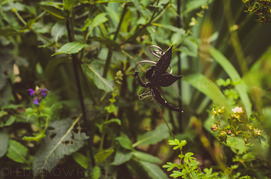 fairy in mom's garden