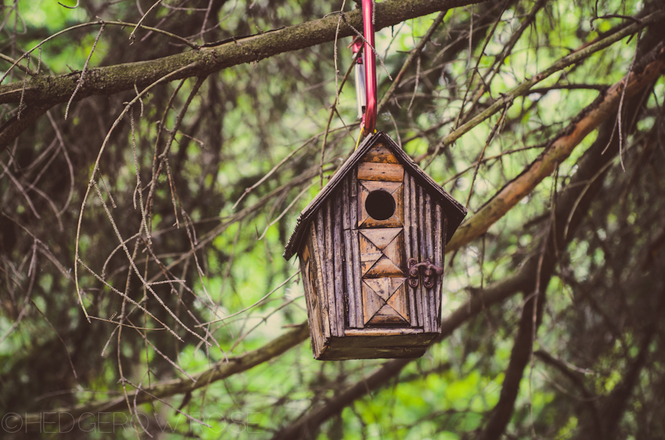 rustic birdhouse