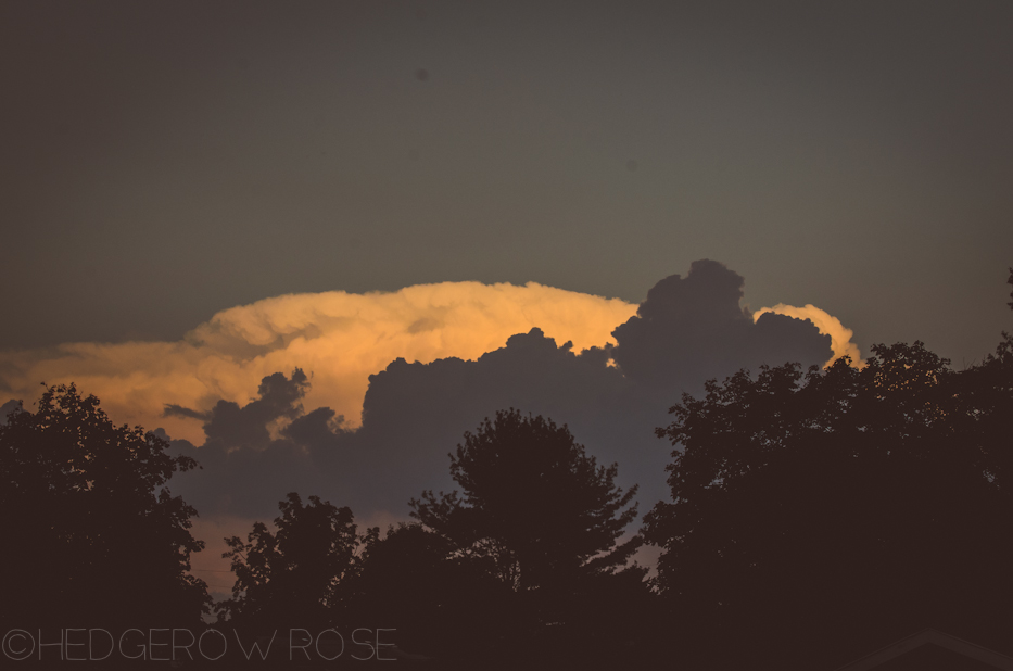 September storm clouds| Hedgerow Rose- These Days