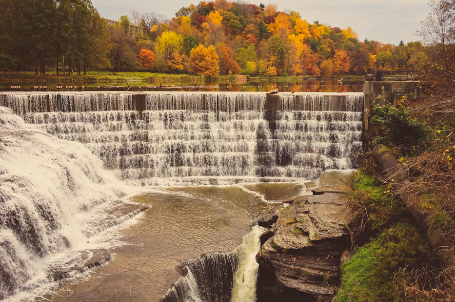 Cornell