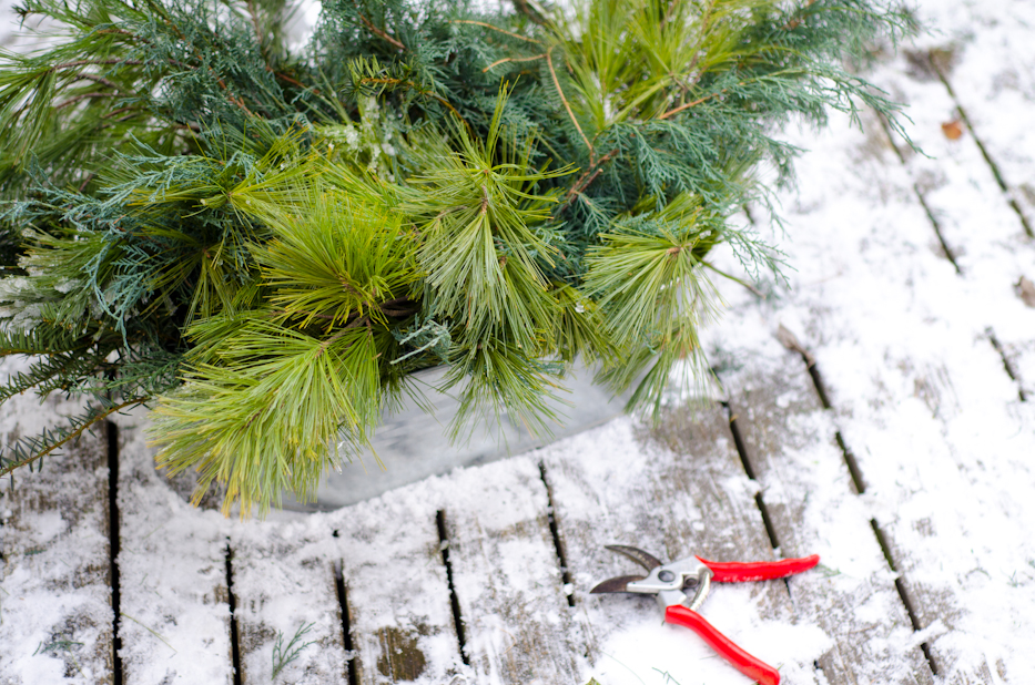 holiday greenery and felcos