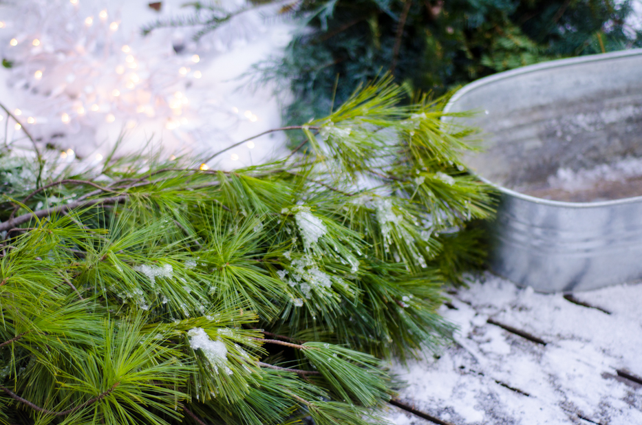 holiday greenery and lights