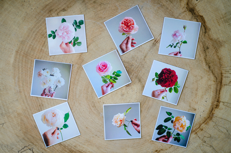 Stickygram rose magnets