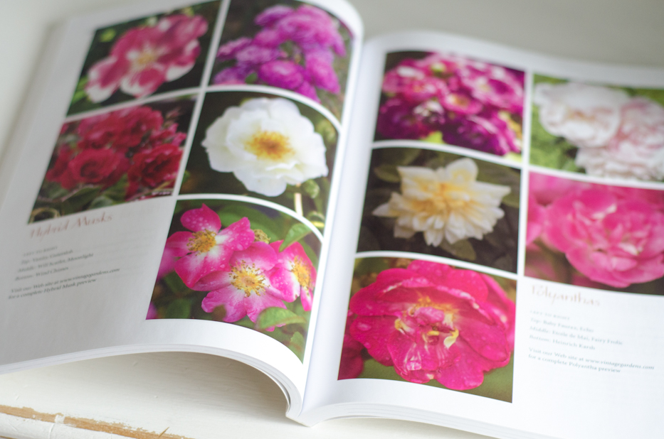 Book Giveaway! Vintage Gardens Book of Roses