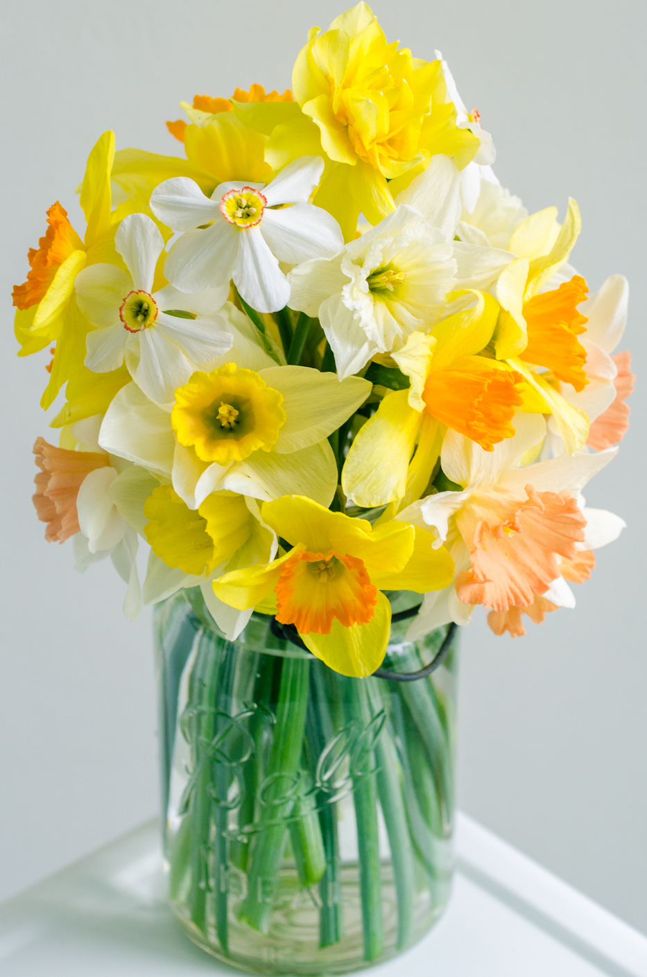 A collection of daffodils via Hedgerow Rose - 7