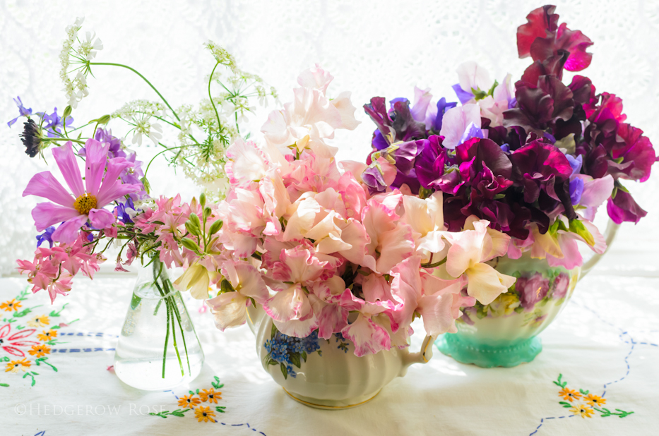 Sweet Peas 8