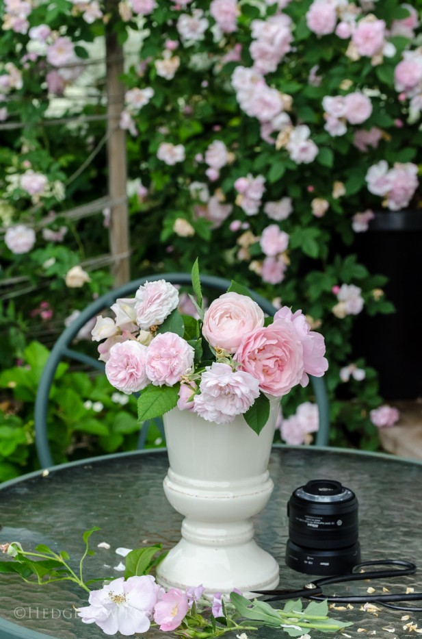 Bouquet of blush pink roses 1