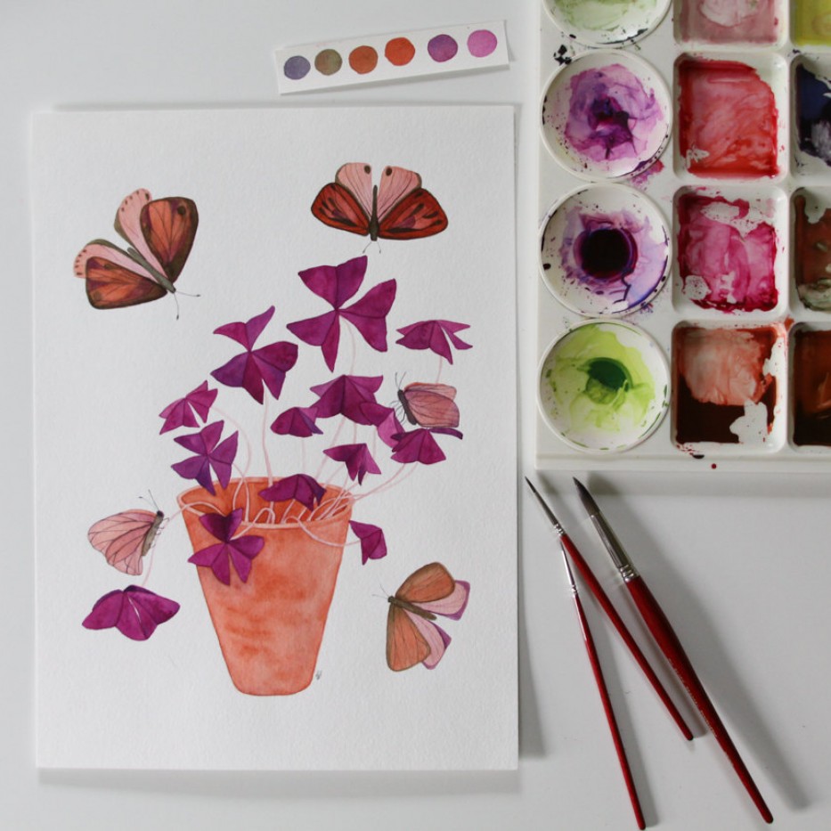 Anne Butera Oxalis and Butterfly