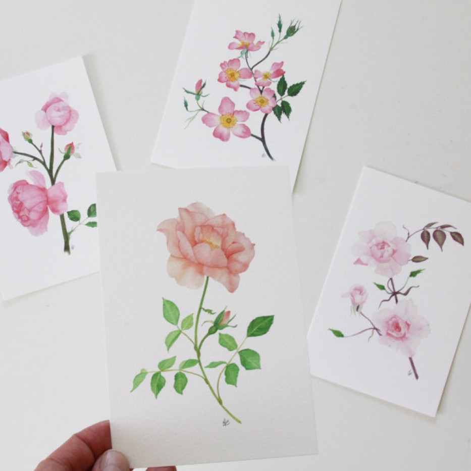 An Interview with Artist and Gardener Anne Butera – Hedgerow Rose®