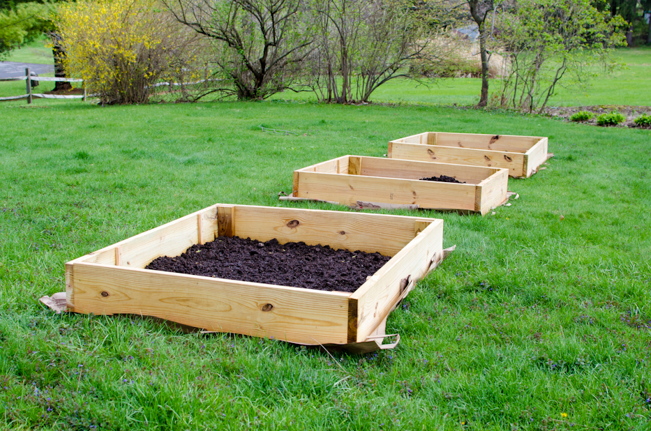 Raised bed cutting garden wip