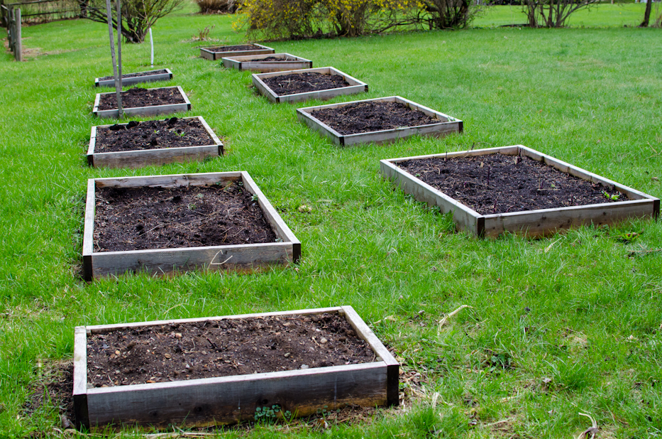 Raised bed veggie garden ready for planting