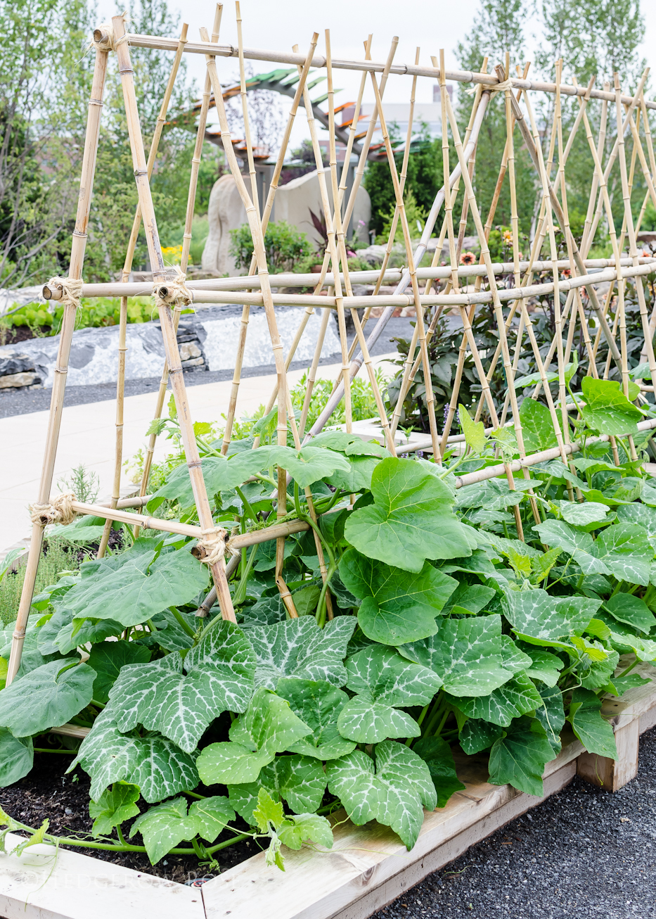 Children's Garden at PSU - 2