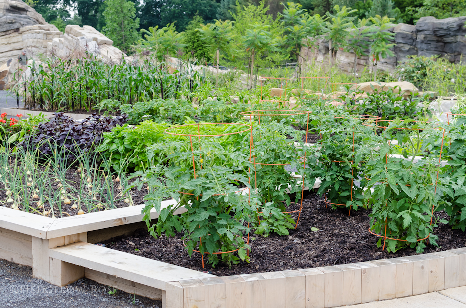 Raised Beds at Children’s Garden, PSU