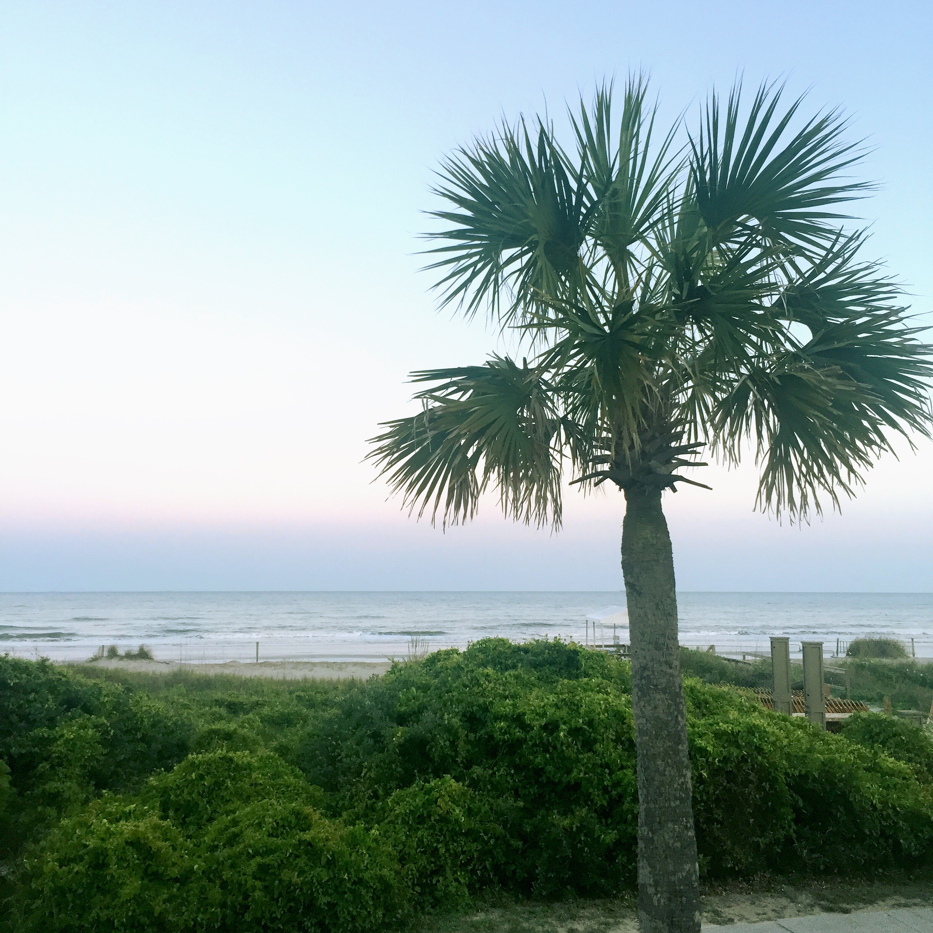 Isle of Palms 1