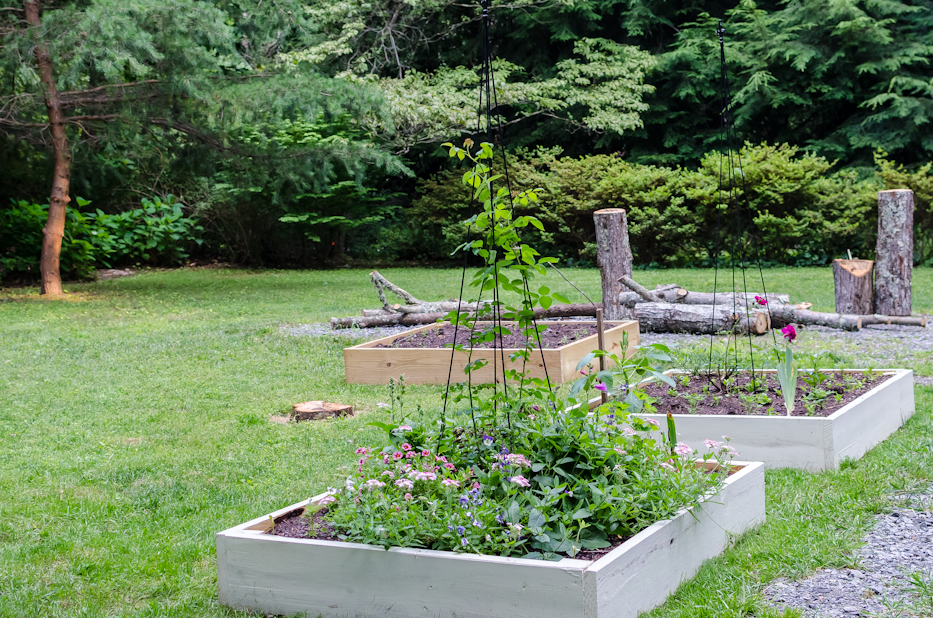 3rd raised bed