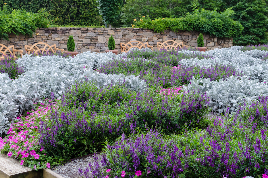 Our short visit to the North Carolina Arboretum