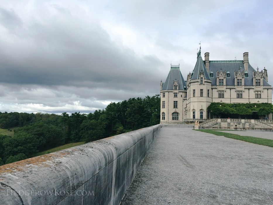 Biltmore - 2nd day of rose judging - Sept 2015-59