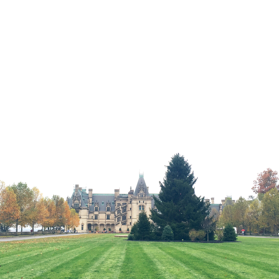 biltmore readying for Christmas