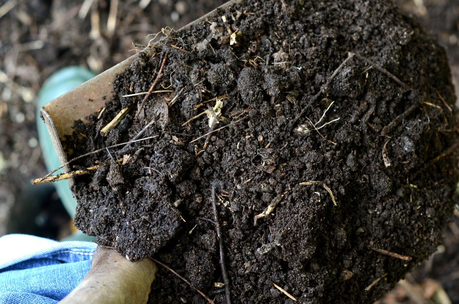 a shovelfull of compost