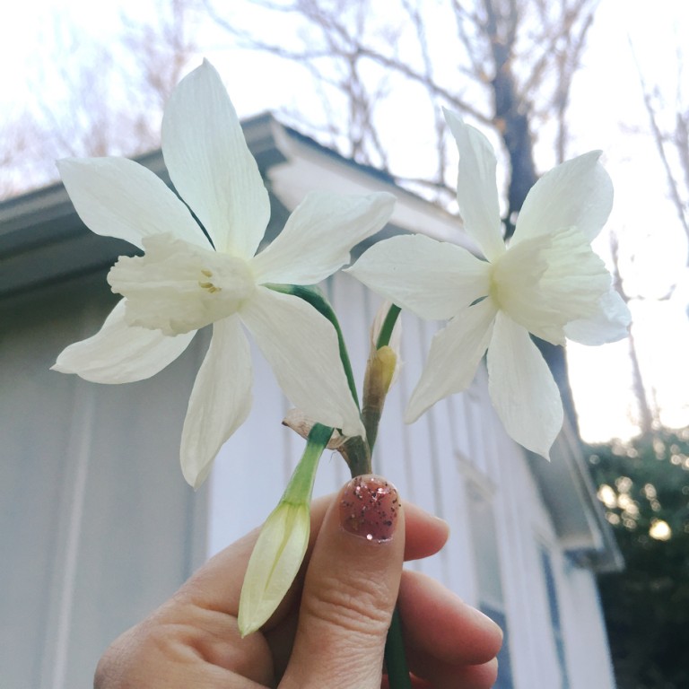 Small and white, clean and bright…