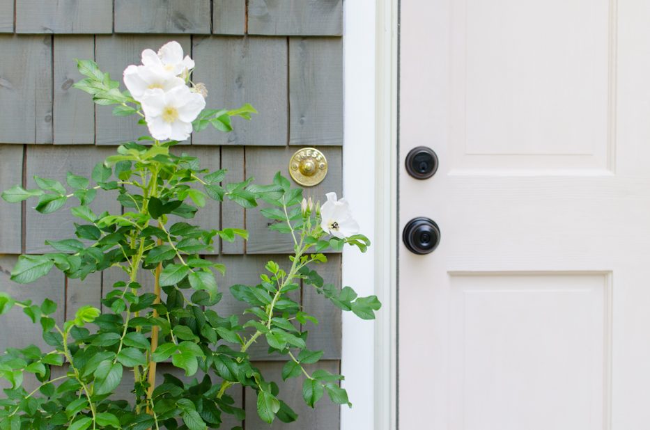 Roses by the front door