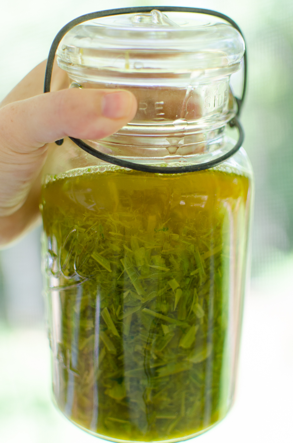 jewelweed soaking in witch hazel