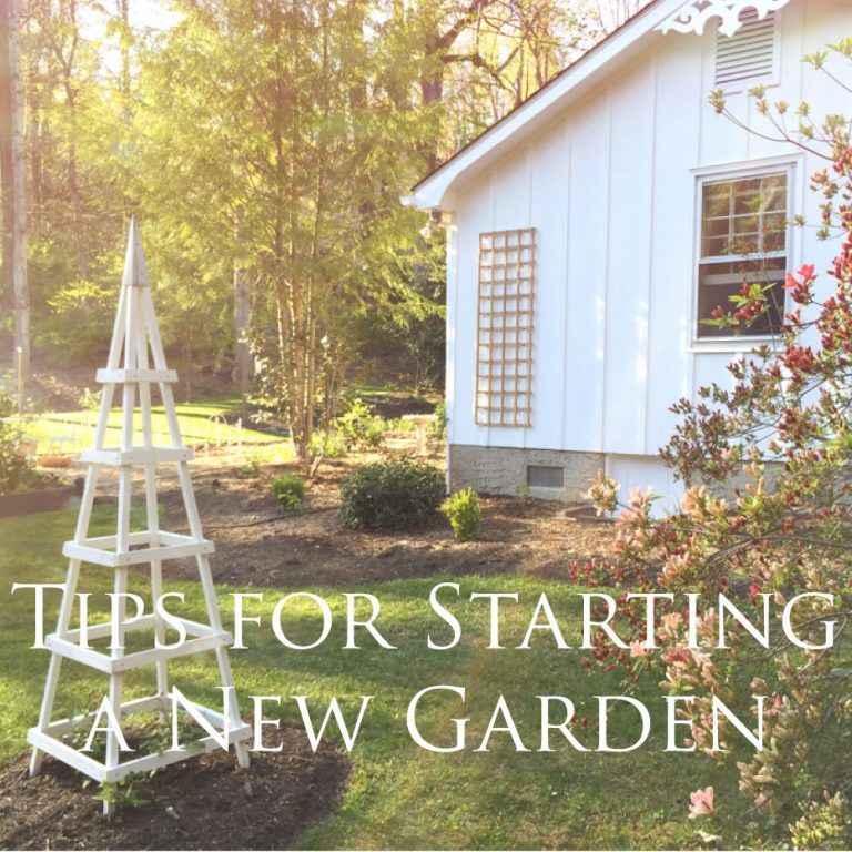 Tips For Starting a New Garden (and a Giveaway!)