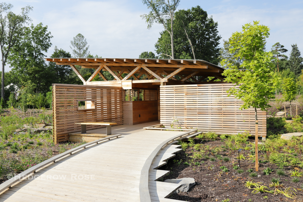 The (New) Pollinator & Bird Garden at Penn State – Hedgerow Rose®