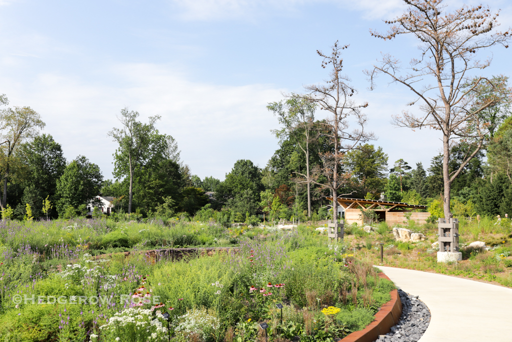 The (New) Pollinator & Bird Garden at Penn State – Hedgerow Rose®