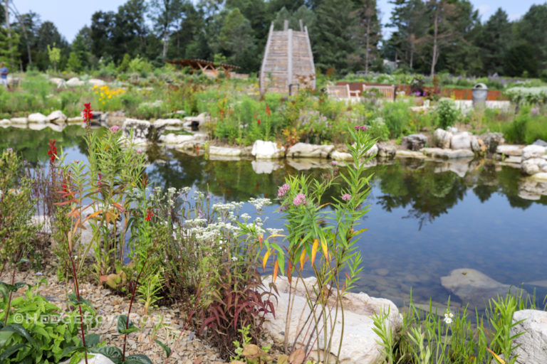 The (New) Pollinator & Bird Garden at Penn State