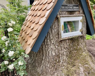 How We Built Our Storybook-Style Little Free Library From an Oak Tree Stump